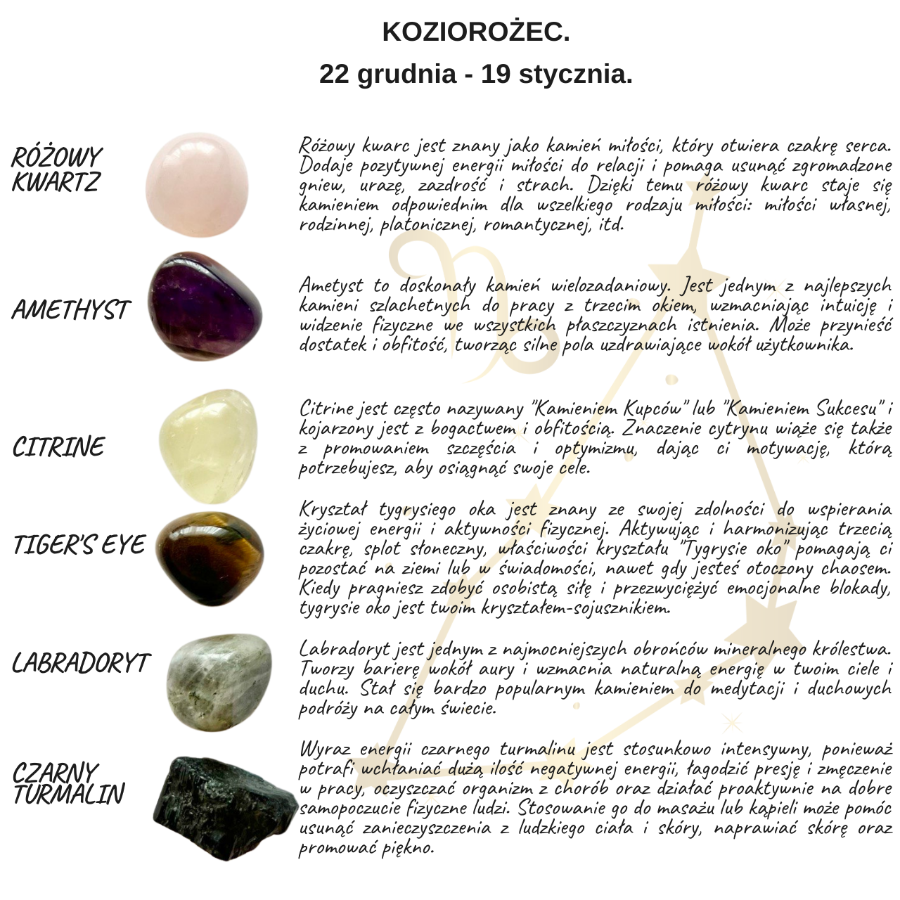 ZESTAW LECZNICZE KAMIENIE ZODIAKALNE KOZIOROŻEC
