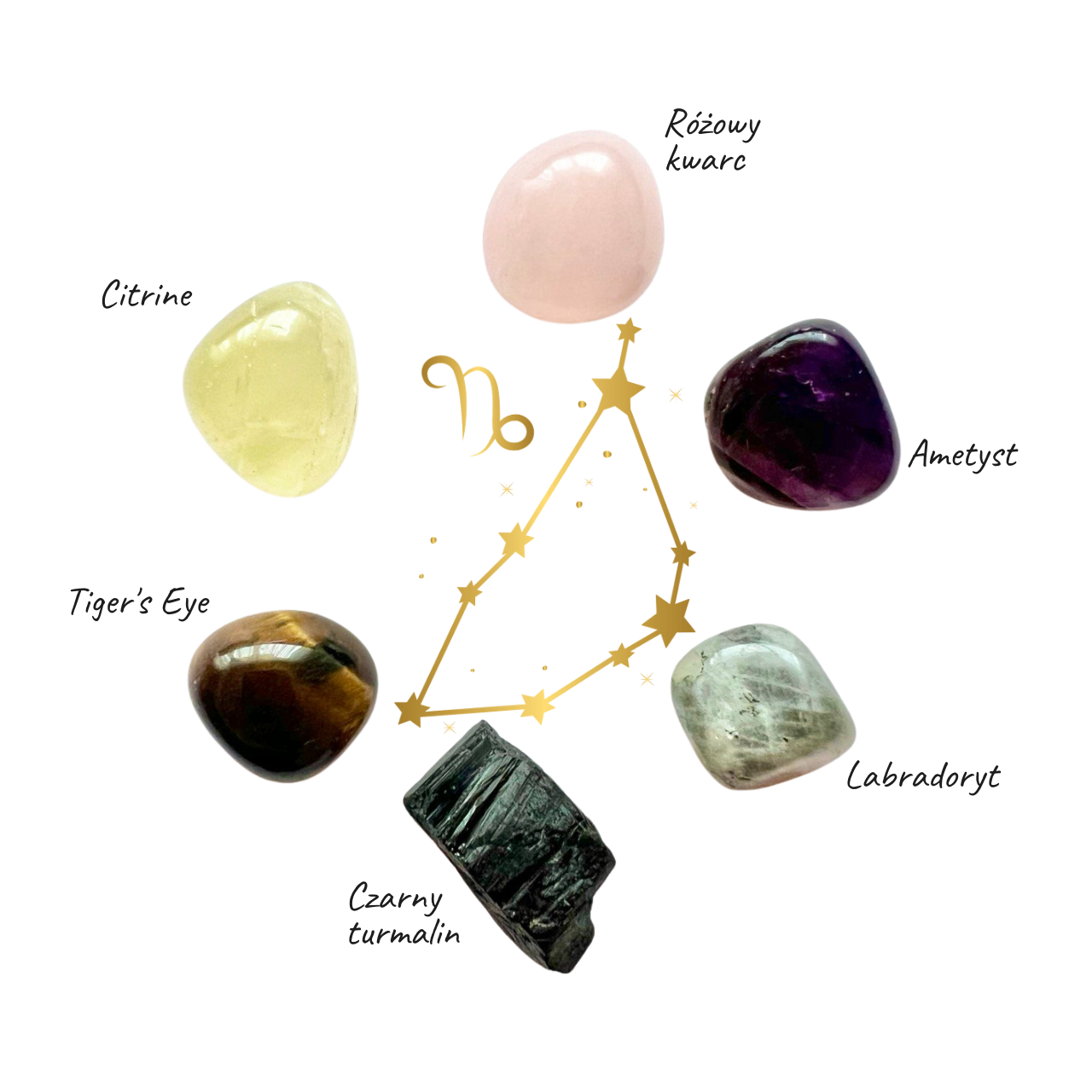ZESTAW LECZNICZE KAMIENIE ZODIAKALNE KOZIOROŻEC